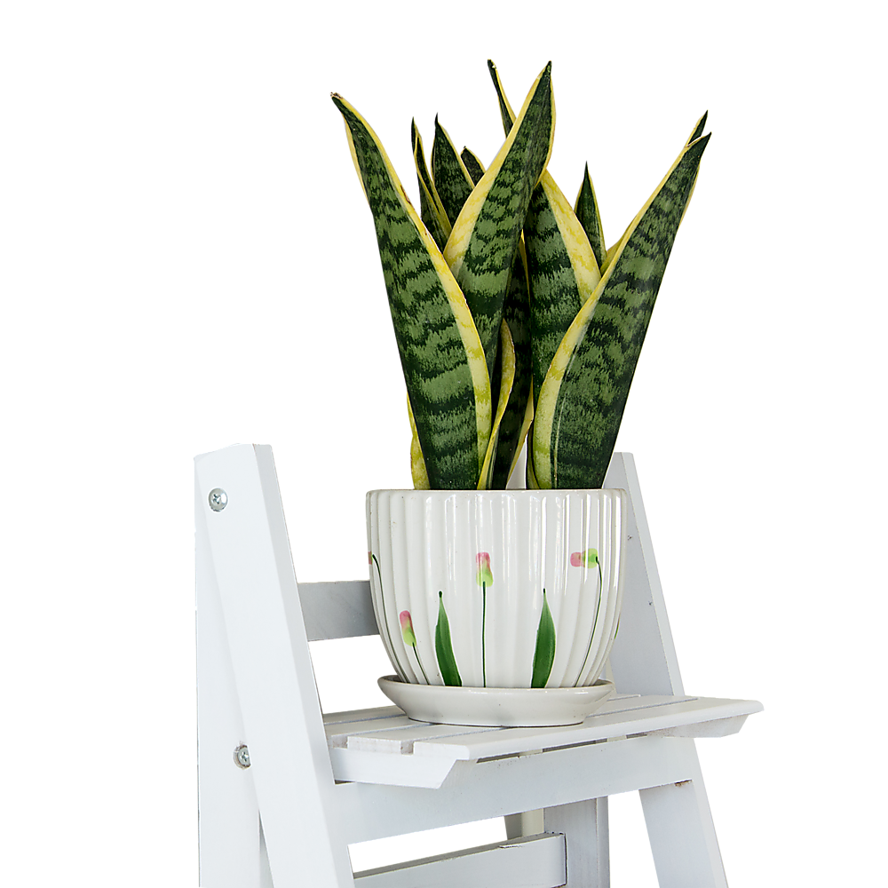 5 Tier Wooden Ladder Shelf Stand Storage Book Shelves Shelving Display Rack - TRENDZ