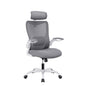 MONA Ergonomic High Back Flipped Armrest Task Chair In Grey - TRENDZ
