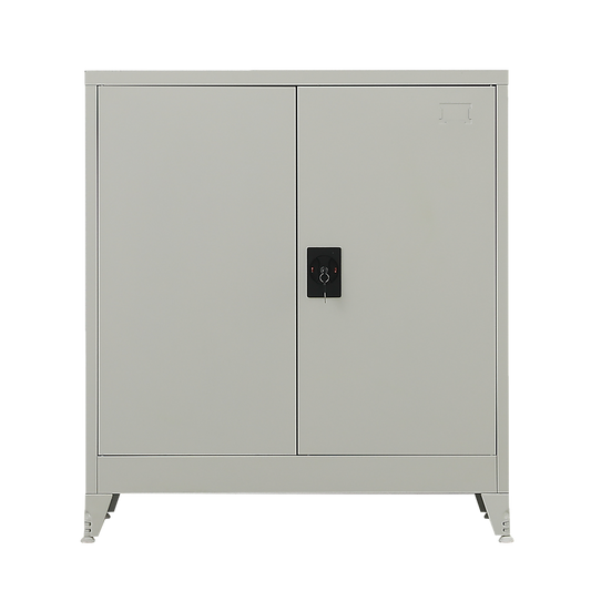 Two-Door Metal Short Cabinet Shelf Storage for Home Office Gym